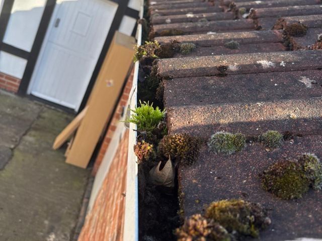 gutter-cleaning-24-kireth-ai