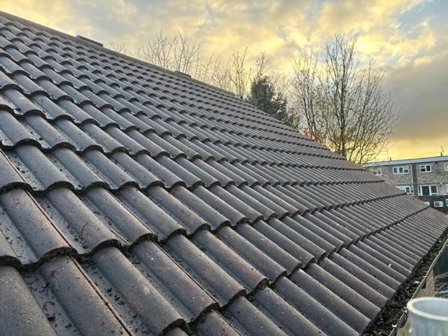 Roof After Cleaning