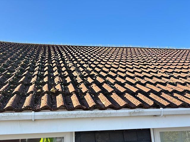 roof-cleaning-19-kireth-ai