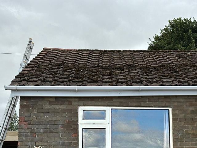 roof-cleaning-12-kireth-ai