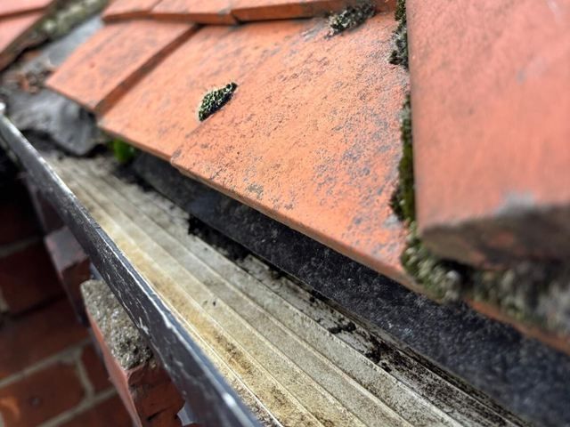 gutter-cleaning-6-kireth-ai