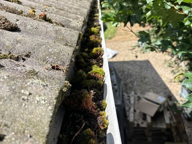 Gutter Before Cleaning
